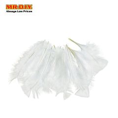 Decoration Feather (10 pcs)
