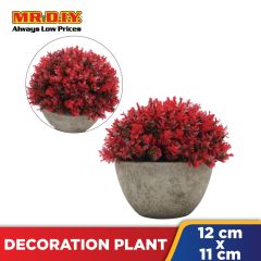 Decoration Plant with Pot